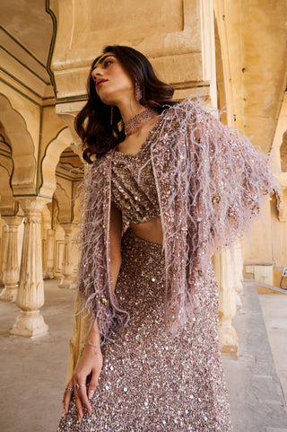 Rose Stardust Lehenga