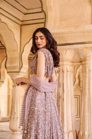 Rose Stardust Lehenga