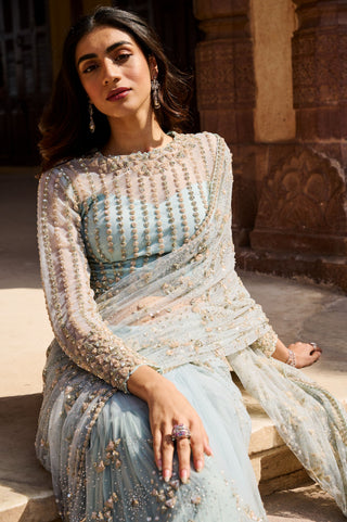Azure Embellished Net Saree Set