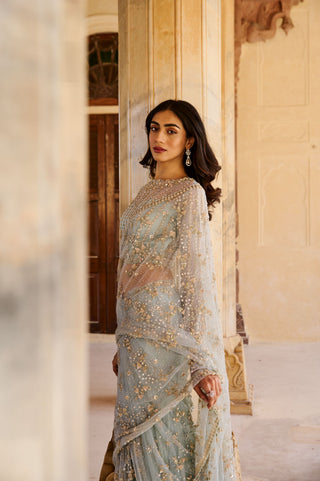 Azure Embellished Net Saree Set