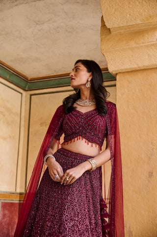 Regal Ruby Lehenga