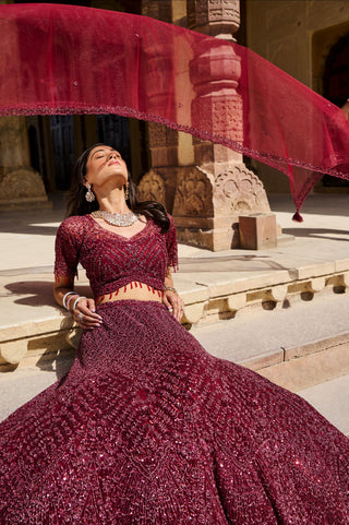 Regal Ruby Lehenga