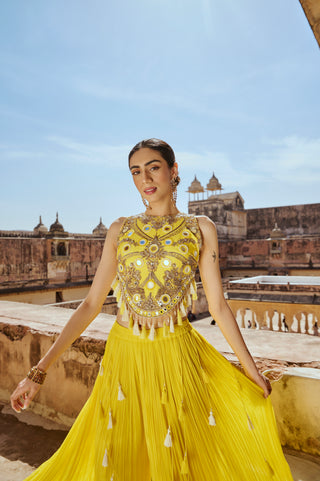 Mirrorwork Palazzo Pant Set